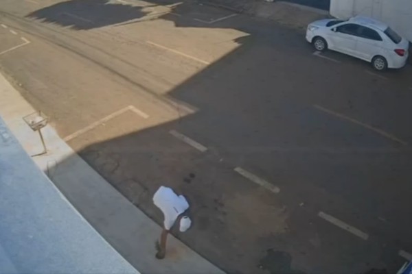 Vândalo é flagrado por câmera de segurança arrancando muda de árvore e jogando-a no lixo