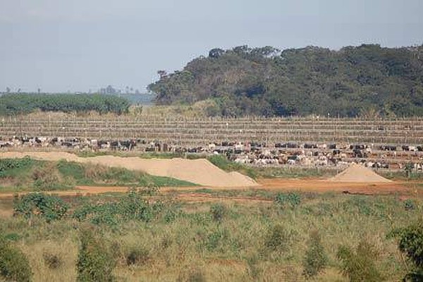 Confinamento retoma as atividades e deixa moradores e autoridades em alerta