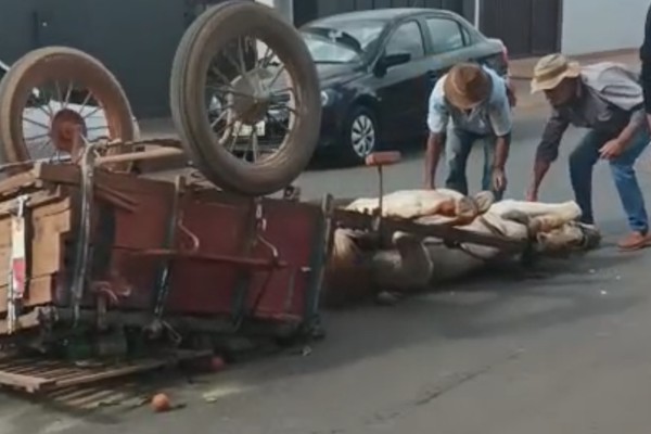 Homem furta carroça, capota na fuga e abandona o animal caído em Lagoa Formosa