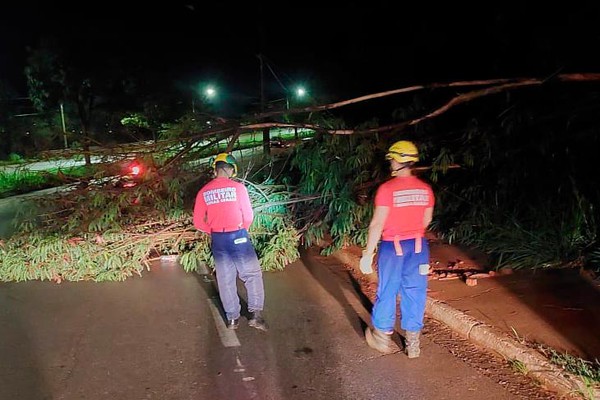 Temporal de ontem provocou alagamentos, queda de árvore e mobilizou bombeiros e Defesa Civil