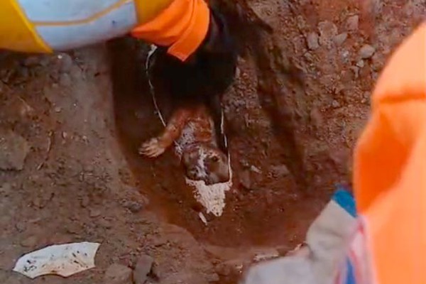 Após 14 horas de angústia, bombeiros resgatam gatinho de estimação que ficou preso em cano