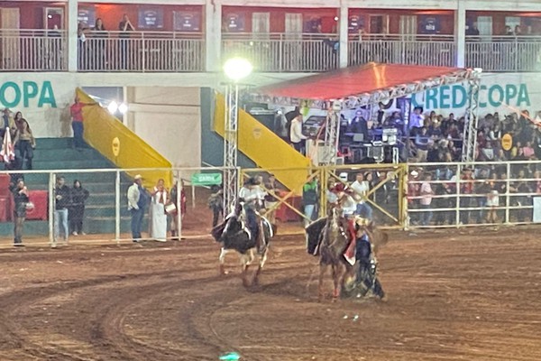 Cavalo pula, peão se segura no filho da égua, evita trombada na cerca e recebe a pontuação; veja