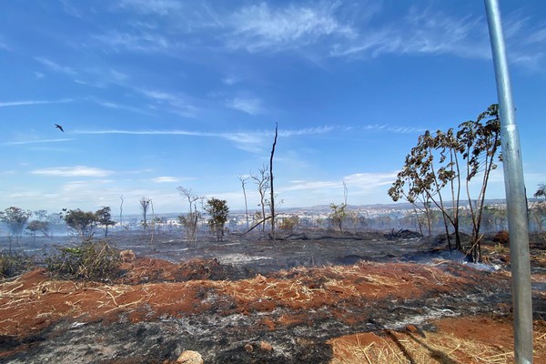 Incêndio deixa cenário de destruição no Parque da Mata do Catingueiro; pelo menos 60 pessoas combatem as chamas