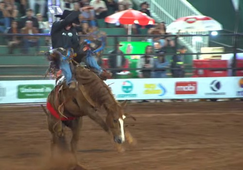 Alô João... Peão vai até o pescoço do cavalo e consegue voltar de forma impressionante; veja ao vivo