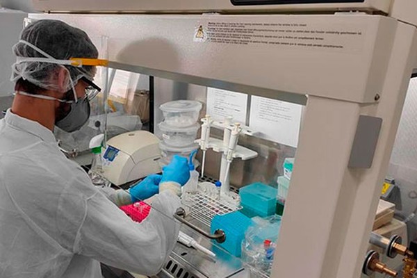 Epidemiologia nega a existência de patenses infectados com variante Delta da Covid-19