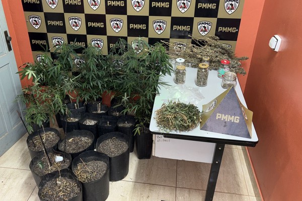 Polícia encontra estrutura para a produção de flor de maconha e prende homem de 36 anos por tráfico
