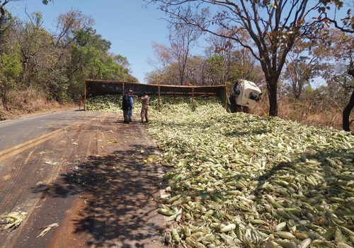 Carreta carregada com 20 toneladas de milho tomba e carga fica espalhada no acostamento, na MG410
