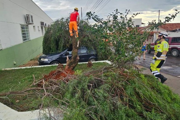 Temporal causa estragos em bairros de Patos de Minas; parte da cidade ficou sem energia elétrica