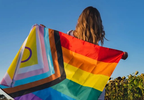 Governo lança site da conferência dos direitos das pessoas LGBTQIA+