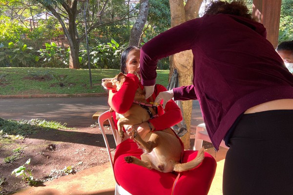 Mais de 7.500 animais domésticos foram microchipados em Patos de Minas; entenda a importância