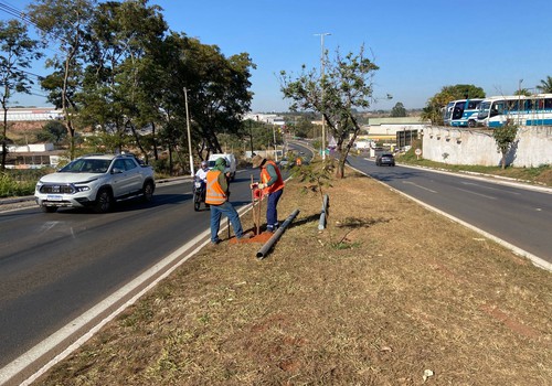Após diversos acidentes fatais, radares começam a ser instalados na Avenida JK
