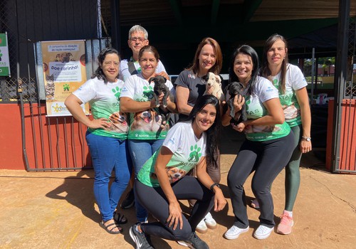 Mutirão de castração gratuito atende centenas de animais em Patos de Minas