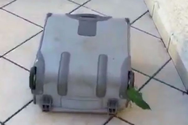 Vídeo mostra agentes resgatando mala cheia de dinheiro em quintal vizinho em Patos de Minas