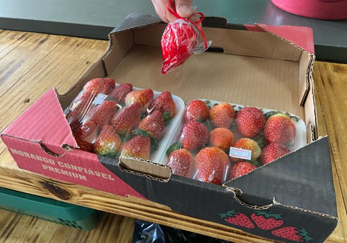 Febre do Morango do Amor faz fruta desaparecer das prateleiras e deixa preço mais salgado, em Patos de Minas