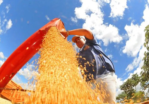 Atividade econômica brasileira cresce 0,6% em fevereiro
