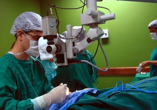 Câncer de intestino, que vitimou Preta Gil, é o 3º mais comum no país
