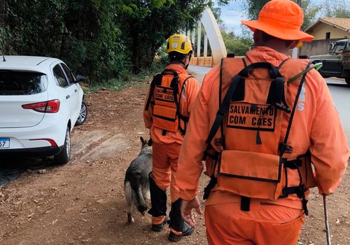 Ossadas humanas: Bombeiros utilizam 4 cães farejadores em novas buscas no Rio Paranaíba