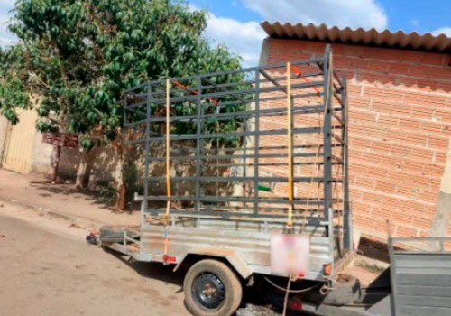 Dois homens são presos por furto de gado em fazenda; líder do grupo segue foragido