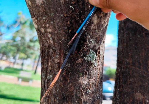 Decoração de Natal é alvo de furtos e vandalismo e causa revolta em Patos de Minas