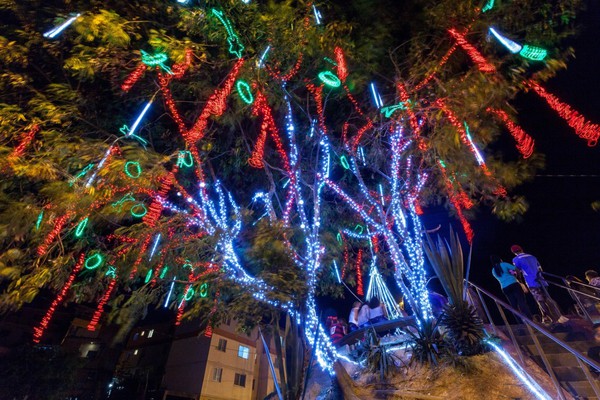 Confira dicas para evitar acidentes com a rede elétrica ao fazer decoração natalina