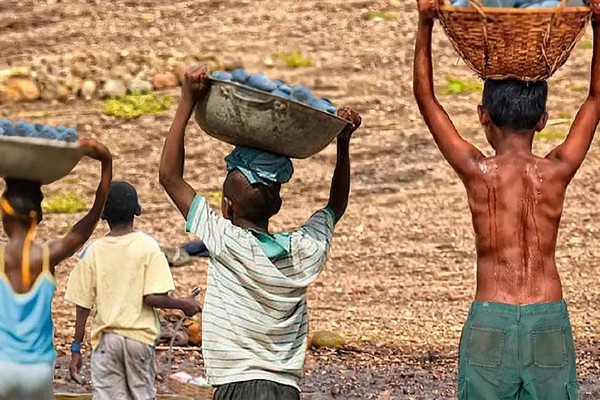 Mais de 6 mil crianças são resgatadas do trabalho infantil em 2 anos