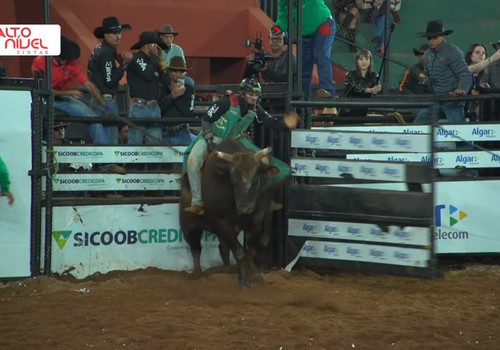 Touro pula na contramão, peão se concentra duro e supera os 8 segundos; veja ao vivo
