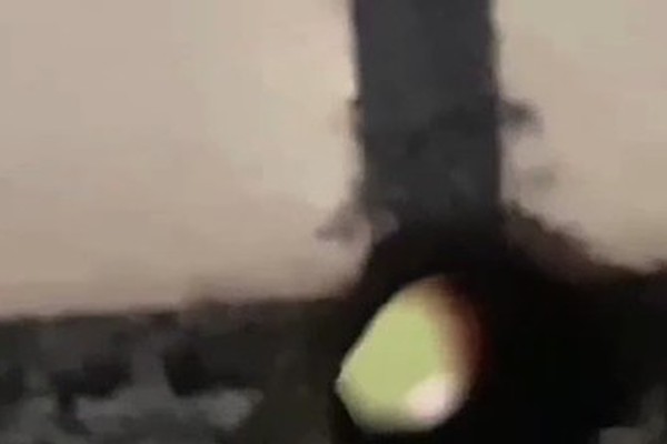 Idoso de 66 anos é indiciado por espionar adolescentes no banheiro por meio de buraco oculto na parede