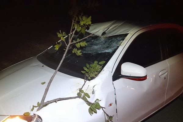 Árvore enorme desaba de repente na BR 352 e atinge automóvel que transitava pela rodovia